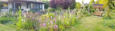 Haus am Fluss sucht Katzensitter – Bild 4