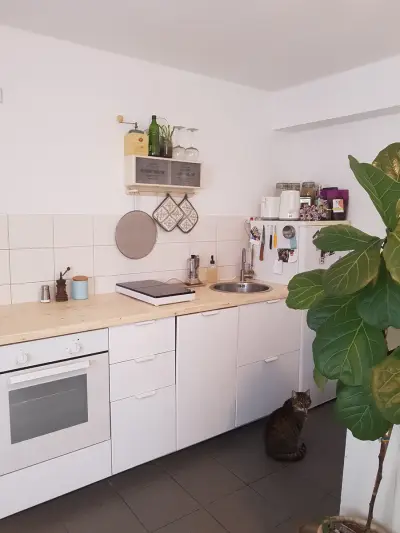 Ruhige Wohnung mit Mietz in Berlin – Bild 4
