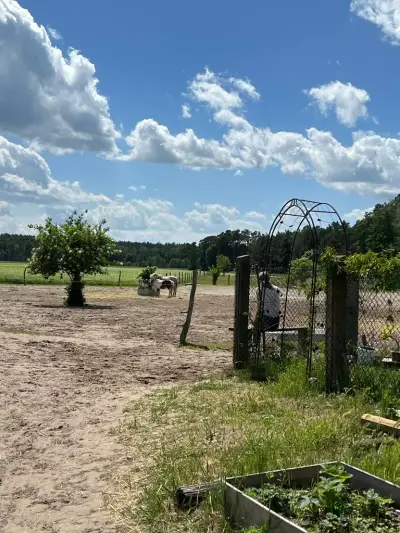 Kleiner Pferdehof – Bild 5