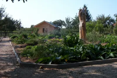 Heilkräuter-Schaugarten Ogkeln bei Bad Schmiedeberg – Bild 2
