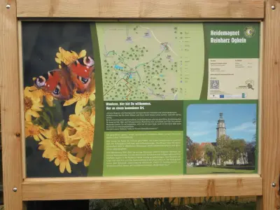 Heilkräuter-Schaugarten Ogkeln bei Bad Schmiedeberg – Bild 6