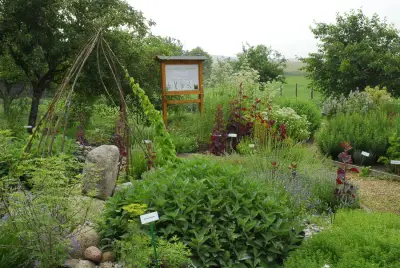 Heilkräuter-Schaugarten Ogkeln bei Bad Schmiedeberg – Bild 3