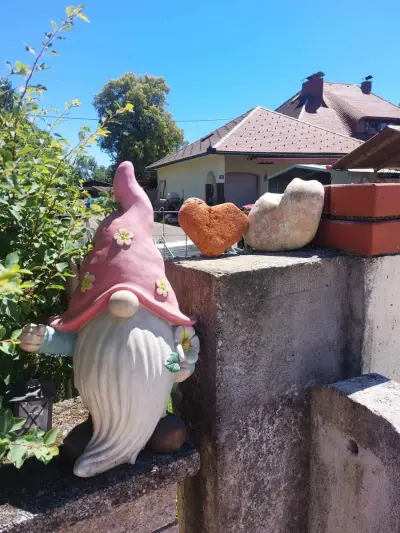 Landhaus an der Krems, nahe zu Linz braucht dich – Bild 3