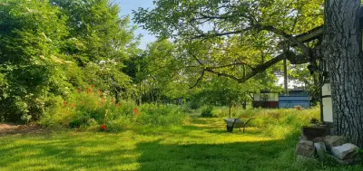 Altes Bahnwärterhaus - Projekt "Mensch & Natur" – Bild 4