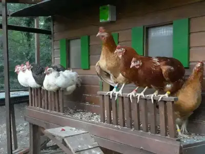 Möllers - Hof zum Berge in Sibbesse – Bild 6