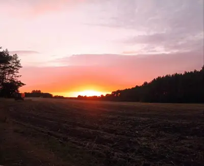 Altes Fachwerkhaus in der Lüneburger Heide – Bild 5