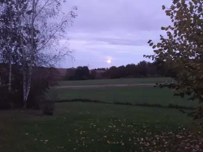 Ländliches Anwesen Nähe 3-Flüssestadt Passau – Bild 3
