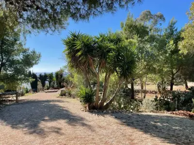 LUPINUS MARE - Paradiesgärten in Apulien am Meer – Bild 3
