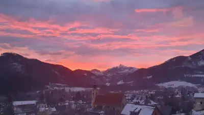 pet-&housesitting im herzen österreichs – Bild 6
