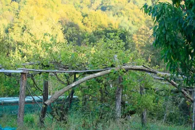 ODE - Ort der Entfaltung – Bild 4