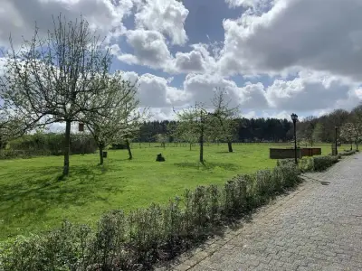 Landleben mit Hund , Huhn , Katz – Bild 2