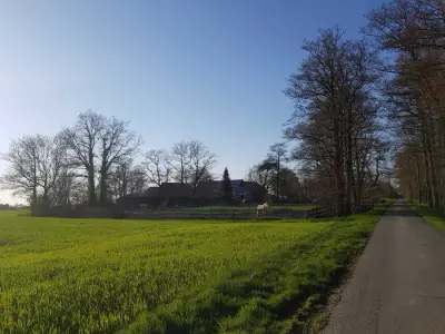 Resthof in der Wingst – Bild 3