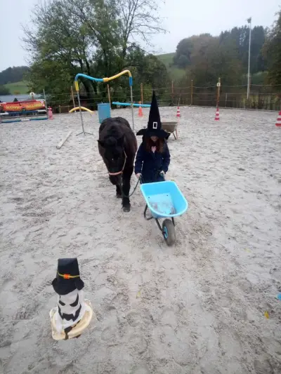 Pferdehof in Eifeldorf – Bild 5