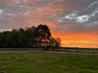 Pferdehof in Ostfriesland – Bild 2