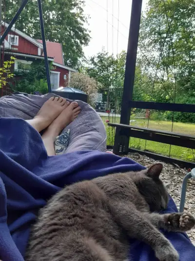 Suedschweden, ländlich, naturnah – Bild 5