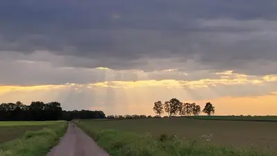 Natur pur, nah am Steinhuder Meer mit Rosi und Milla – Bild 5