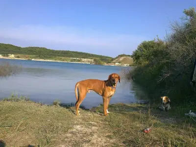Stellplatz/Camping auf Rügen gegen Hand – Bild 3