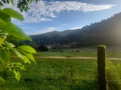 Pferdehof im Schützengraben – Bild 3