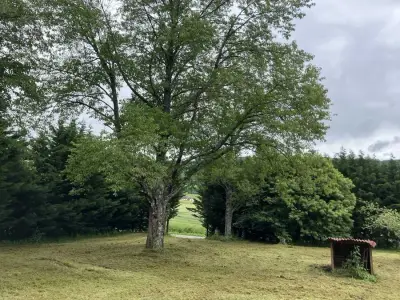 Ferme im Süd-Jura, Timeout-Projek – Bild 3