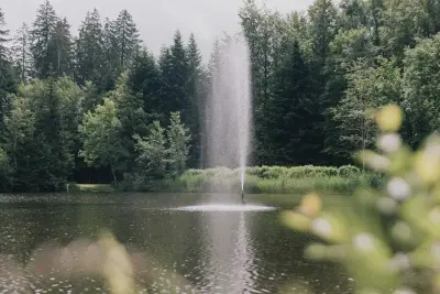 Waldbad Isny – Bild 4