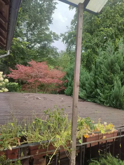 Haus am Waldrand – Bild 2