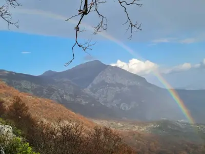 Hilfe auf unserem Grundstück in Montenegro Nahe der Adria – Bild 4