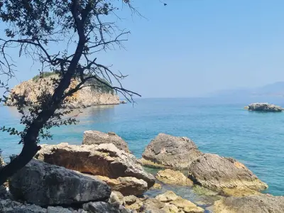 Hilfe auf unserem Grundstück in Montenegro Nahe der Adria – Bild 6