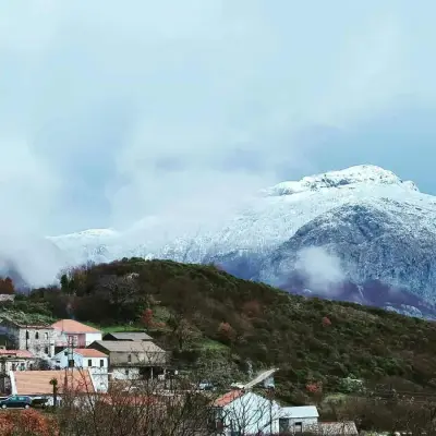 Hilfe auf unserem Grundstück in Montenegro Nahe der Adria – Bild 2