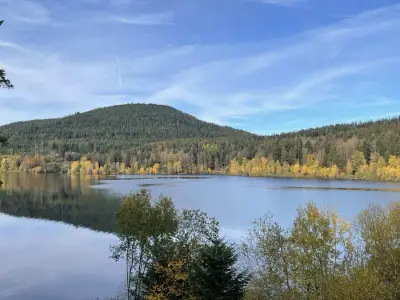 Schwarzwaldidylle, Holzhaus inmitten der Natur mit Tieren – Bild 2