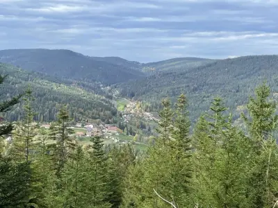 Schwarzwaldidylle, Holzhaus inmitten der Natur mit Tieren – Bild 6