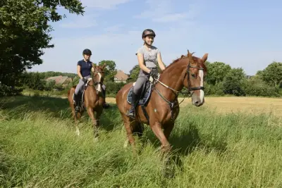 Ferien- und Pferdehof Gut Klein Nienhagen – Bild 6