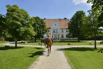 Ferien- und Pferdehof Gut Klein Nienhagen – Bild 3