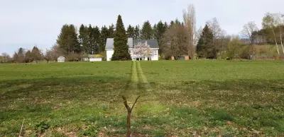 EIFEL - Mithilfe - Renovierung - Gartenarbeit – Bild 3