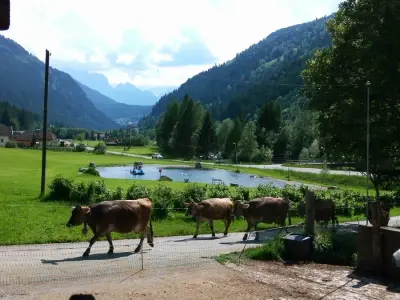 Camping Lindlerhof – Bild 3