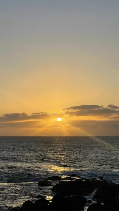 🌴 Gran Canaria - Wir suchen Unterstützung im Vertrieb – photo 6