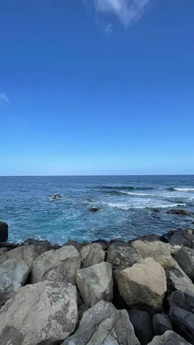 🌴 Gran Canaria - Wir suchen Unterstützung im Vertrieb – photo 2