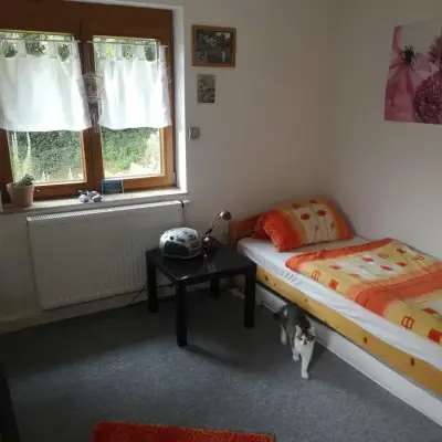 Zimmer im Pfälzerwald – Bild 4