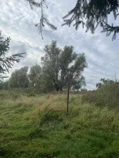 Natur Stellplatz 30 km vor Rügen – Bild 3