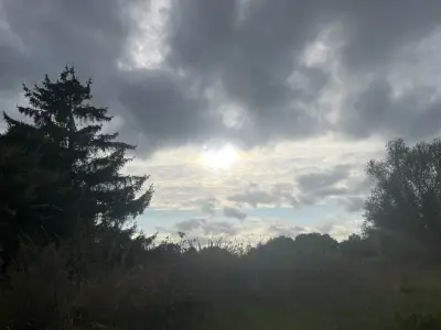 Natur Stellplatz 30 km vor Rügen – Bild 2