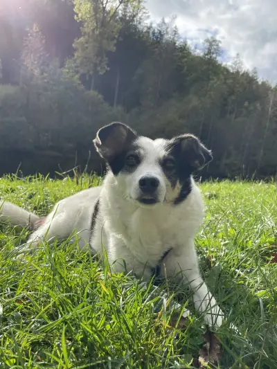 Rilly – Bild 3