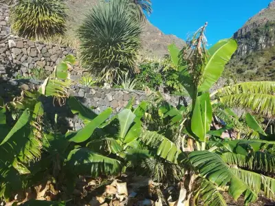 La Gomera Hilfe bei der Hausrenovierung – Bild 3