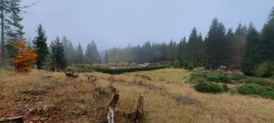Naturcamp Frauenwald – Bild 2