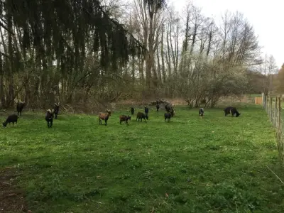 Moulin de la Rouchotte – Bild 5