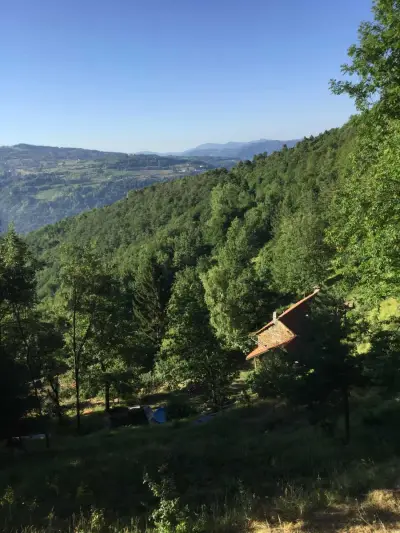 Portowaldo – Bild 2