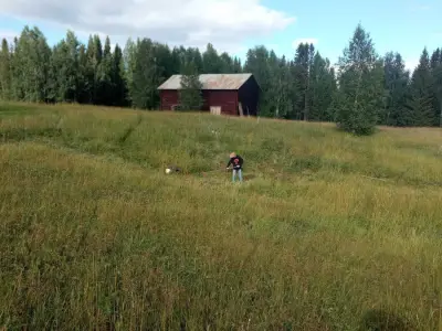 Swedish Paradise Garden & Farm – Bild 4