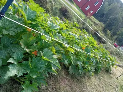 Swedish Paradise Garden & Farm – Bild 5
