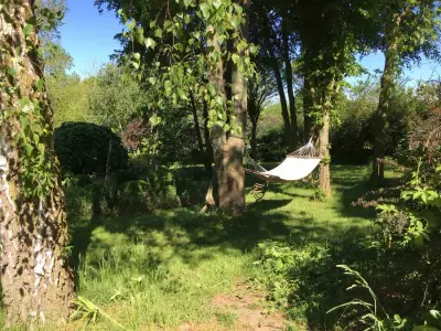 Insel Rügen, Landschaftspark, Alleinlage – Bild 2