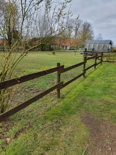 kleiner Pferdehof sucht Unterstützung – Bild 2