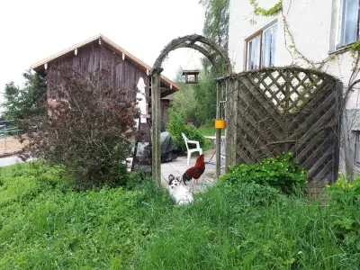 Sacherl in Niederbayern – Bild 2