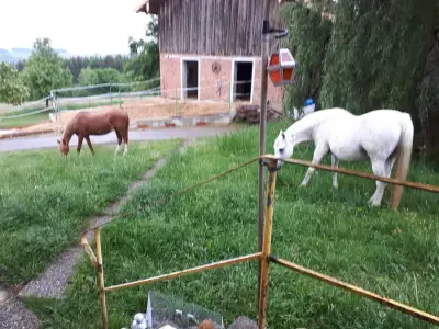 Sacherl in Niederbayern – Bild 5